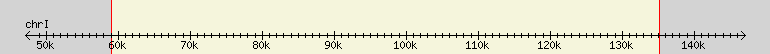 __scale__ region
