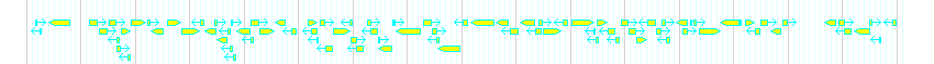 Genes detail