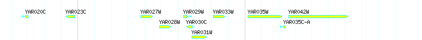 Genes detail