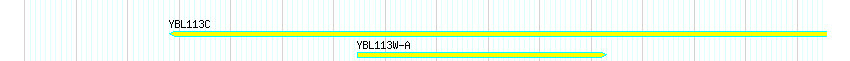 Genes detail