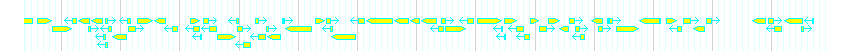Genes detail