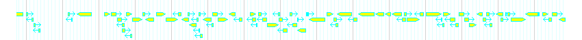 Genes detail