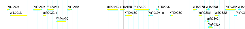 Genes detail