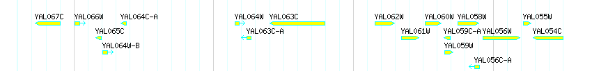 Genes detail