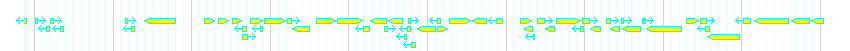 Genes detail