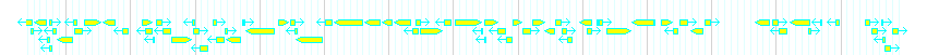 Genes detail