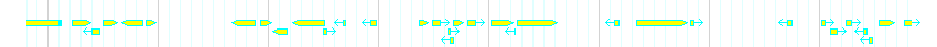 Genes detail
