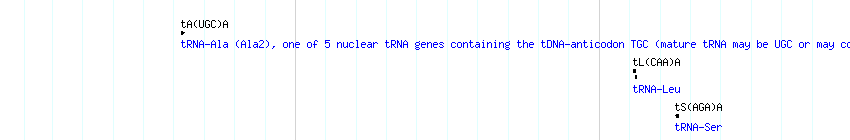 tRNAs detail