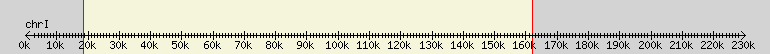 __scale__ overview