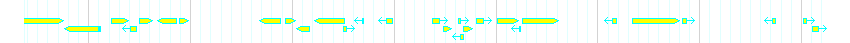 Genes detail