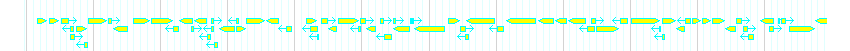 Genes detail