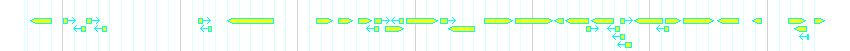 Genes detail