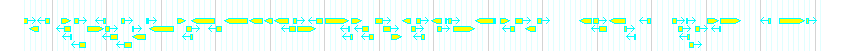 Genes detail