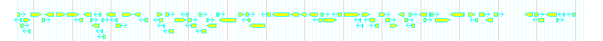 Genes detail