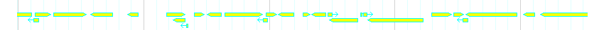 Genes detail