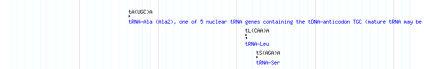 tRNAs detail