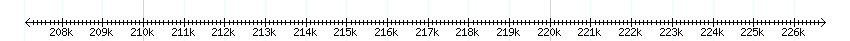 __scale__ detail