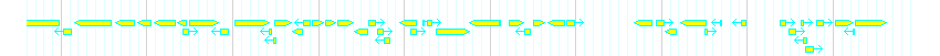 Genes detail