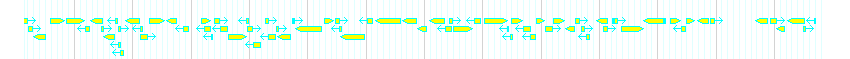 Genes detail