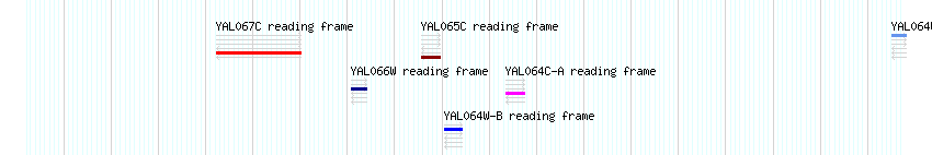 CDS detail