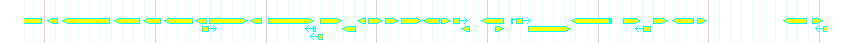 Genes detail