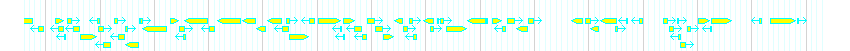 Genes detail
