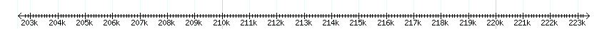 __scale__ detail
