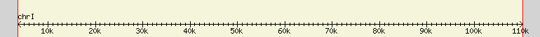 __scale__ region