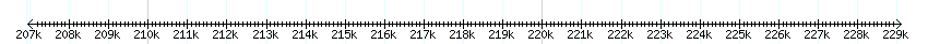 __scale__ detail