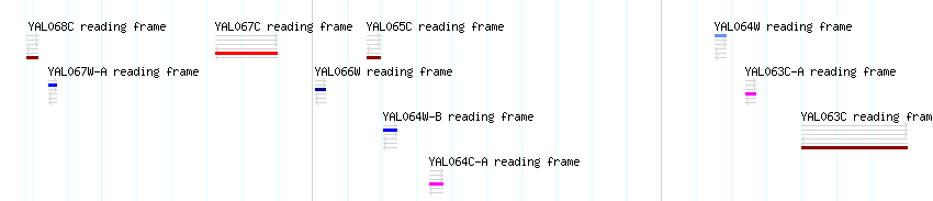 CDS detail