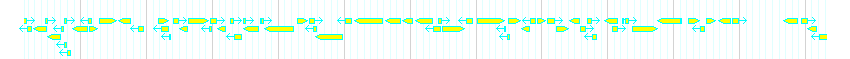 Genes detail