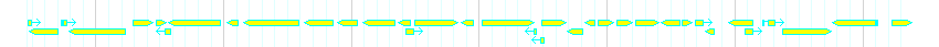 Genes detail