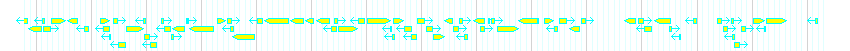 Genes detail