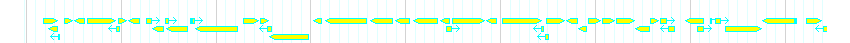 Genes detail