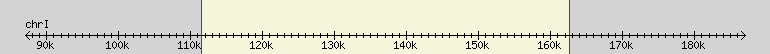 __scale__ region