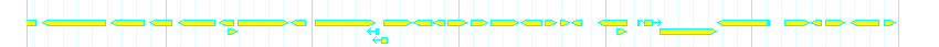 Genes detail