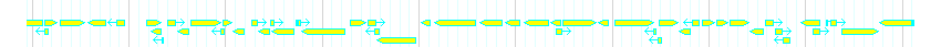 Genes detail