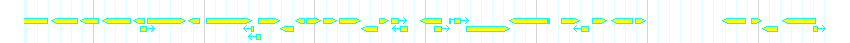 Genes detail