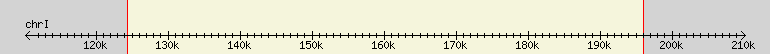 __scale__ region