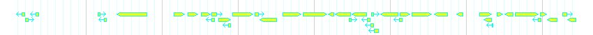 Genes detail