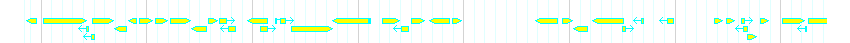 Genes detail