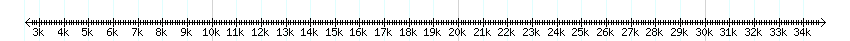 __scale__ detail