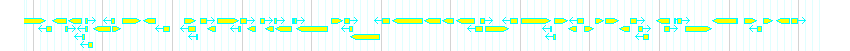 Genes detail