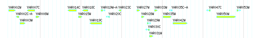 Genes detail