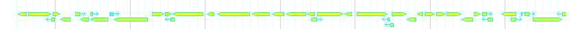 Genes detail
