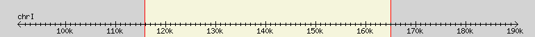 __scale__ region