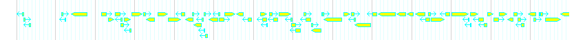 Genes detail