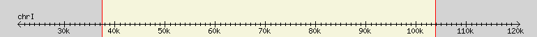 __scale__ region