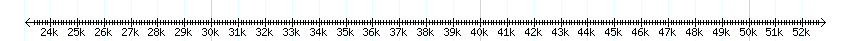 __scale__ detail