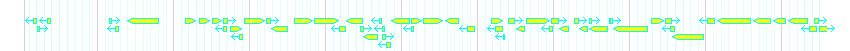 Genes detail